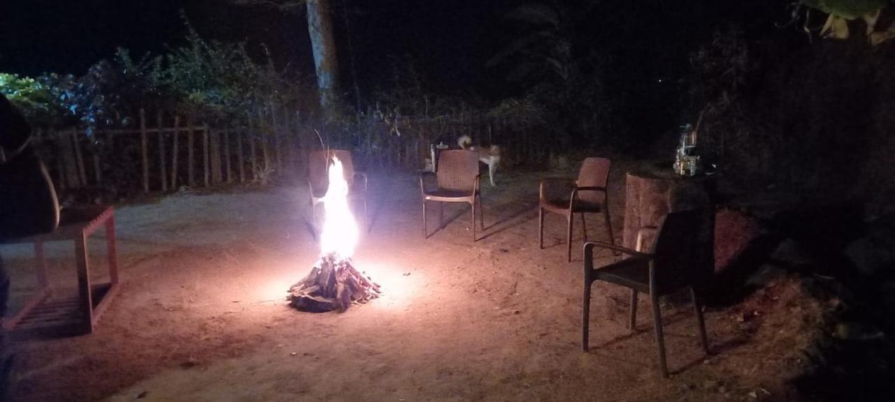 Westernghats Homestay Madikeri Eksteriør billede